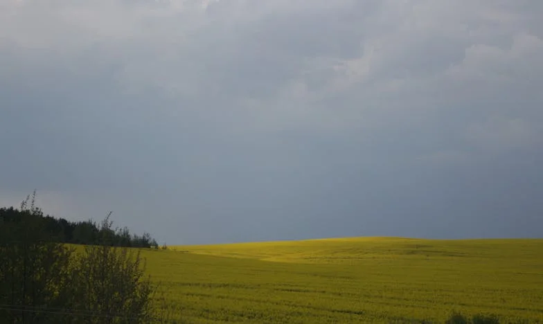 Szukając Zgody: Walka Teściowej o Akceptację Synowej