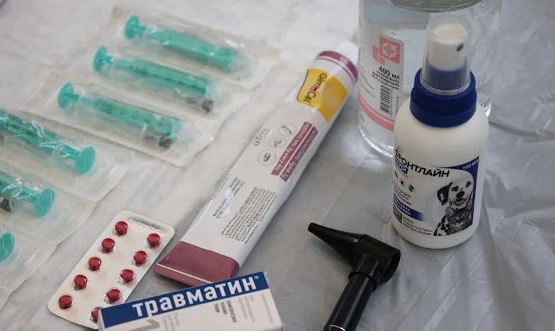 Wszystko dla mojego syna: cena matczynej miłości