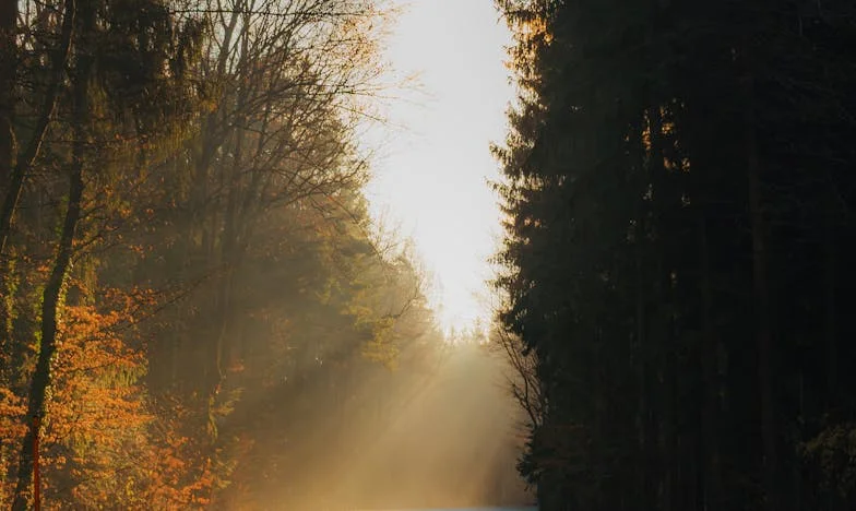 Bratrská služba, nebo rodinná povinnost?