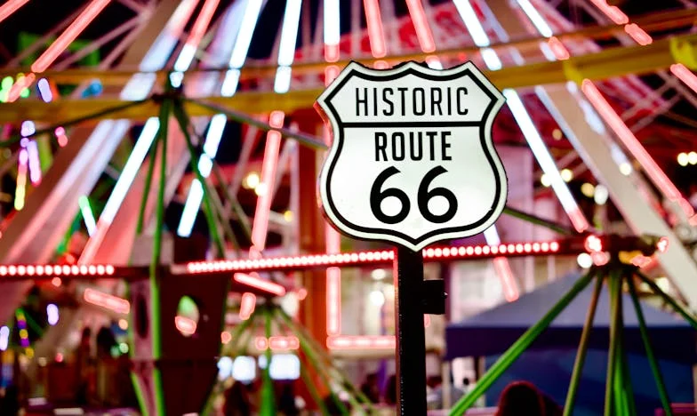 Dvě srdce, jeden boj: Příběh mého dvojčete