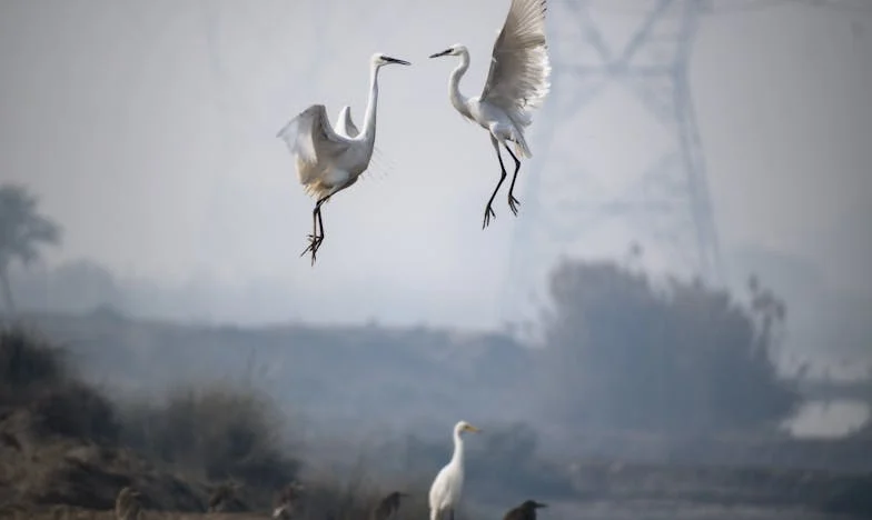Květiny na šatech, slzy na tváři: Moje noc hanby a síly – příběh Magdy z pražského gymnázia