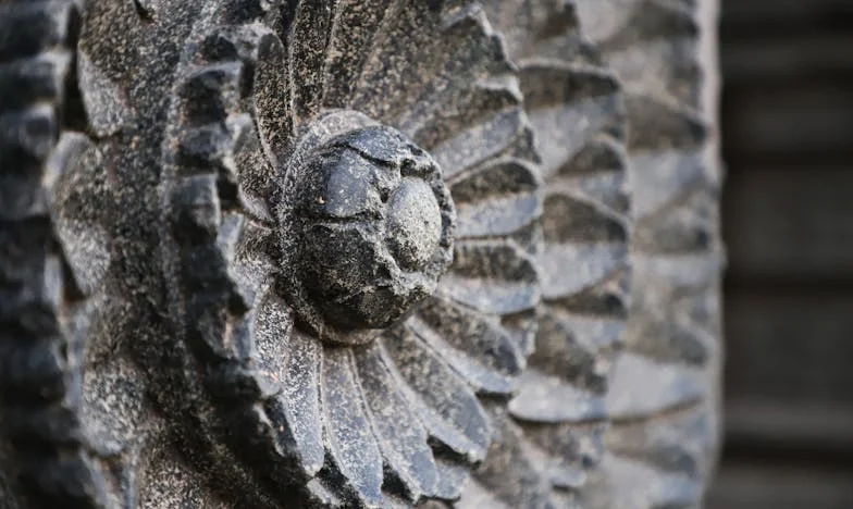 „Mami, prodáme dům“: Příběh o rodině, lásce a zradě