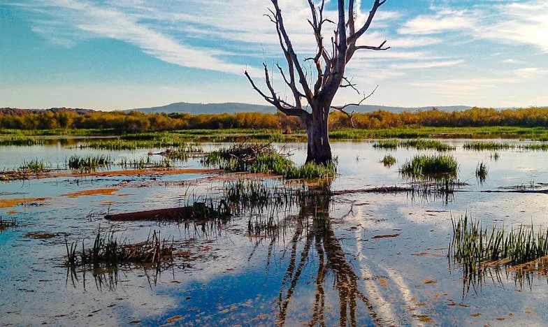 Mezi dvěma ohni: Když vás tchyně obviní před celou rodinou