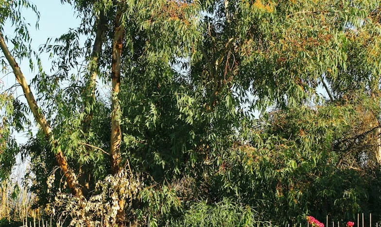 Můj plat není láska: Mezi strachem a svobodou