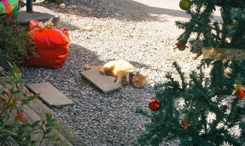 Na zájezdu do Českého Krumlova jsem znovu objevila chuť žít. Nečekaně jsem tam potkala muže, který mi připomněl, že nikdy není pozdě začít znovu.