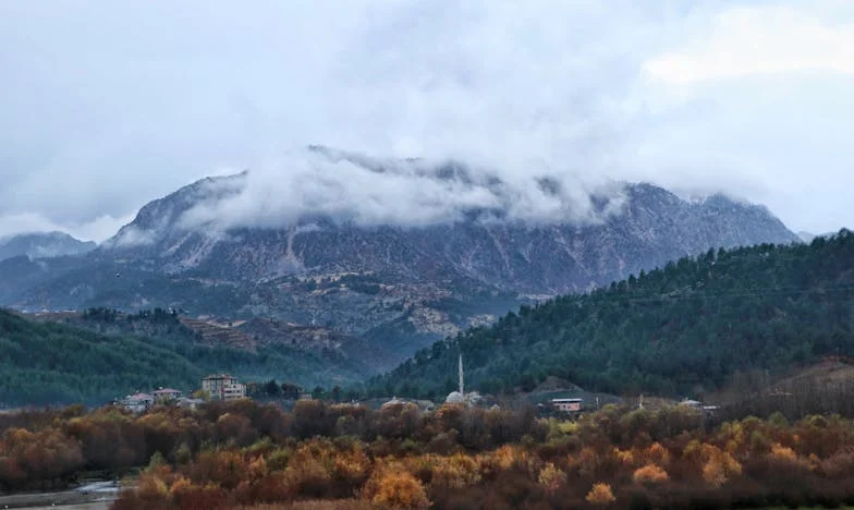 Narozeniny mé dcery a ticho mé samoty