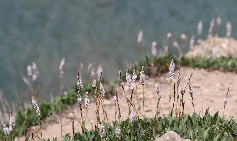 Ne kvůli synovi – příběh Hany z Brna
