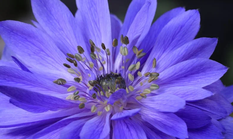 „Nech mě být, tati!“ – Příběh otce a syna, které rozdělily peníze