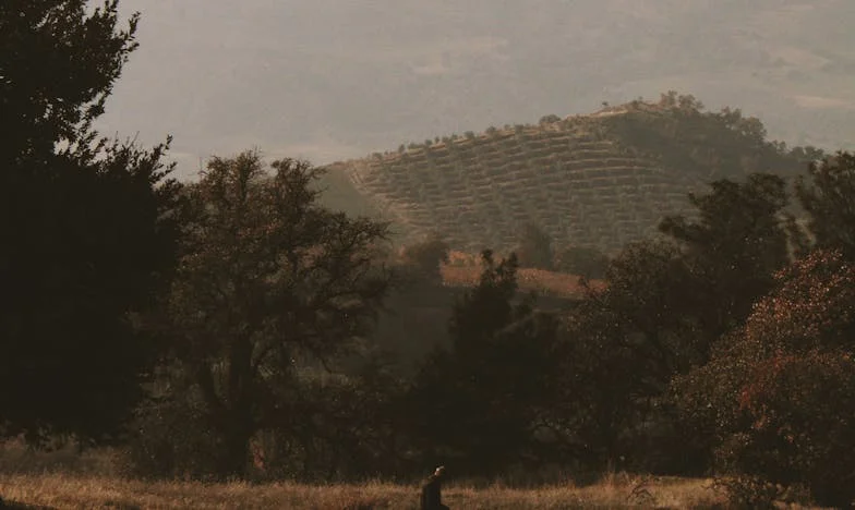 Nejsem jen adresa: Příběh pražského bytu, rodinných snů a zrady