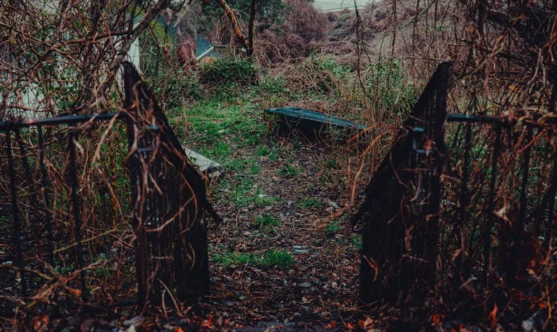 Pět let dluhu: Když rodina rozděluje místo aby spojovala