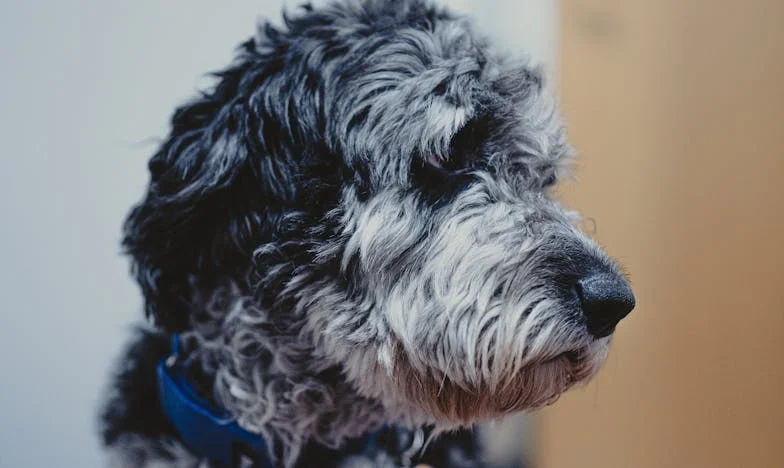 Proč moje dcera odmítá pečovat o svou nemocnou matku: Příběh rozdělené rodiny