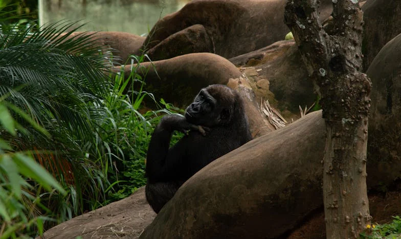 Srdce větší než strach: Jak jsem se přes noc stala mámou šesti dětí