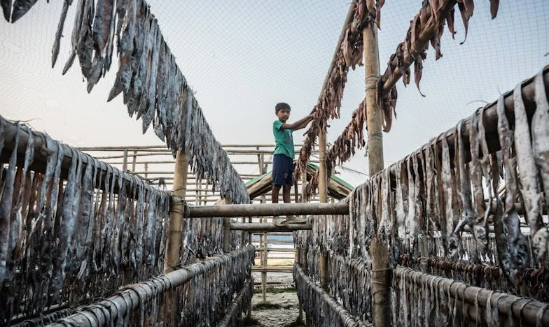 Ticho mezi námi: Příběh matky z Vysočiny, která musela volit mezi loajalitou a pravdou