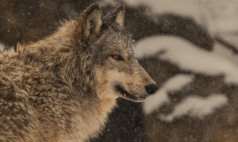 Vyhodil mě z domu kvůli milence – o rok později jsem mu vzala firmu. Můj příběh o pádu a vítězství.