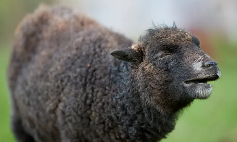 Anonymní vzkaz na moje narozeniny: Pravda, která roztrhla naši rodinu