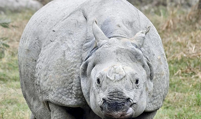 Kdy se domov stane cizím místem: Můj příběh o ztracené blízkosti v rodině