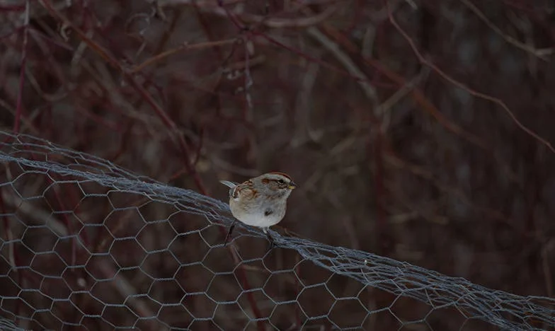 Když jsem tátu dala do domova: Mezi láskou a odsouzením