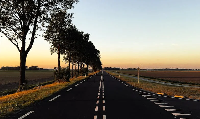 Když krev zradí: Příběh jedné naivity v české rodině