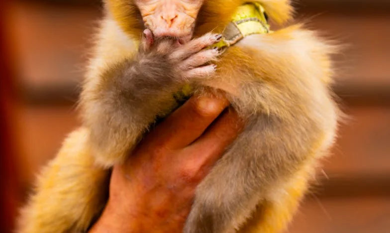 Když musíš volit mezi rodinou a svým snem: Příběh o tom, co znamená ztratit i najít sám sebe