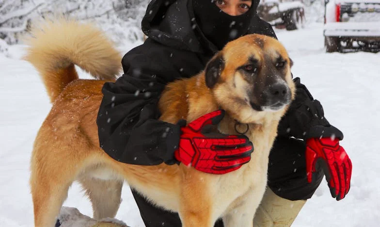 Když se víkend změní v bitevní pole: Moje zpověď o tchyni, kompromisech a boji za sebe samu