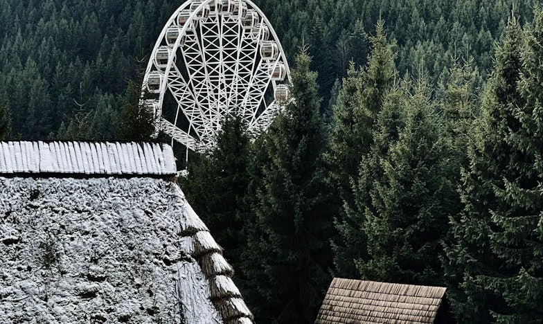 Když ti dcera volá jen kvůli penězům: Příběh matky, která ztratila spojení se svým dítětem