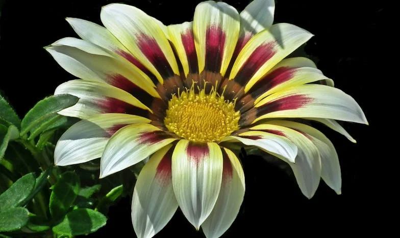 Láska k matce versus manželství: Jedno tajné pozvání rozbilo můj domov