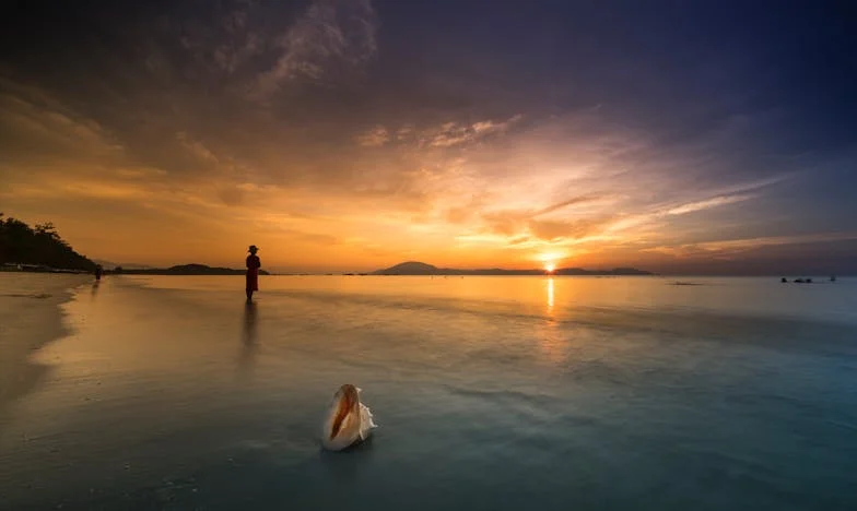 Moje snacha mi řekla do očí, že mě nenávidí. Syn to ví a mlčí. Jak mám žít dál?