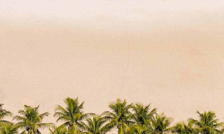 Moje tchyně už do mého domu nevkročí. Příběh o hranicích, které jsem musela postavit