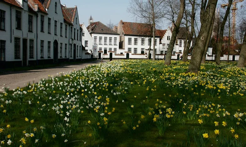 Nedělní ráno, které změnilo všechno: Když jsem omylem zvedla manželův telefon