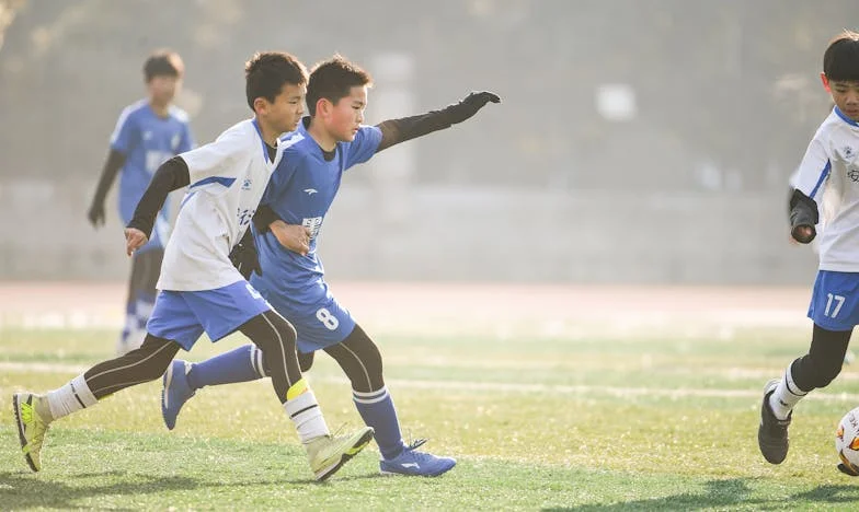 Neviditelná zahrada: Příběh o odpovědnosti a lásce v srdci českého maloměsta