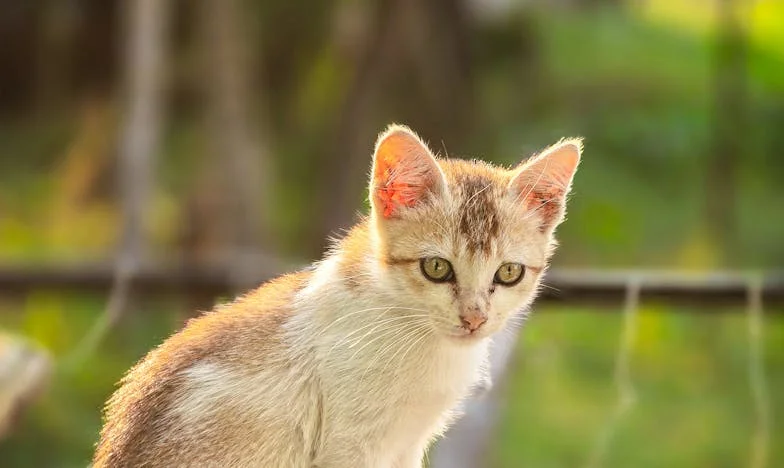 Popáleniny na duši: Příběh otce, který musel zachránit vlastní dceru