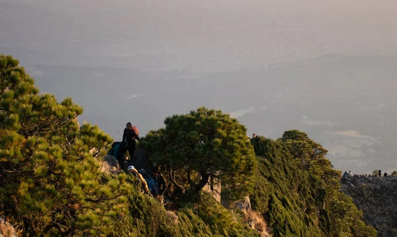 Poslala jsem své syny do obchodu. Domů se vrátil jen jeden. Co se stalo s mým mladším synem?