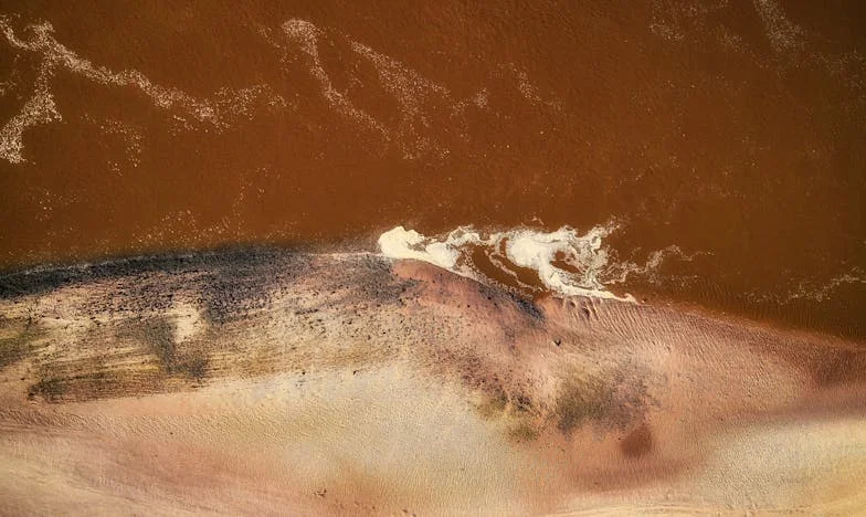 Soudní síň, kde se rozpadl můj svět: Milenka mého muže mě napadla před zraky všech a pravda o soudci změnila vše