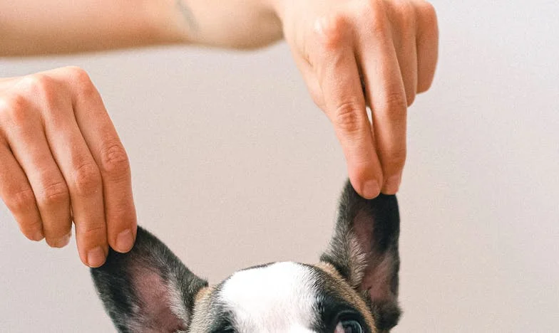 Synova mi zakázala přijít na nedělní oběd. Jsem už jen hostem ve vlastní rodině?