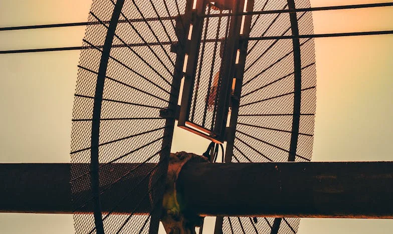 Synova tajemství: Kolik stojí mateřská láska?