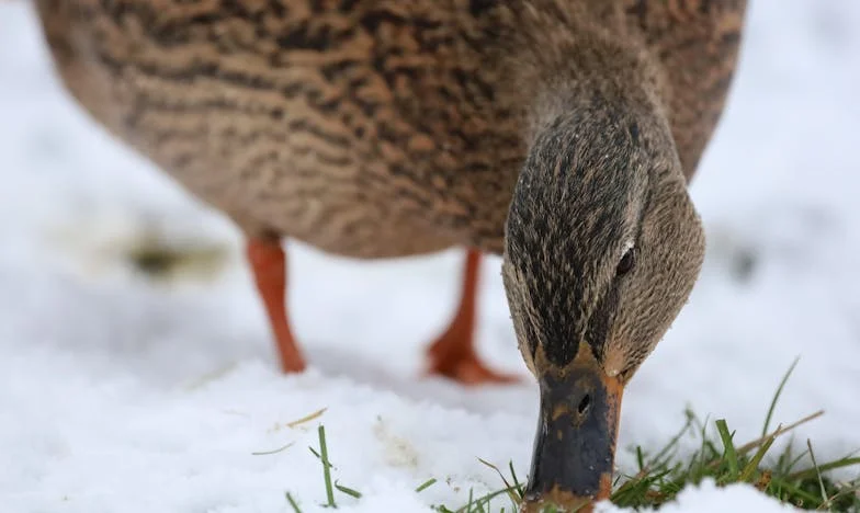 V den naší výročí manželství sbalil kufr: Dopis, který mi zanechal, mi nedá spát dodnes