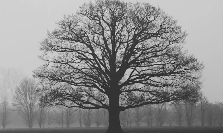 Všichni si mysleli, že jsem šťastná: Příběh ženy, která se naučila přiznat vlastní bolest