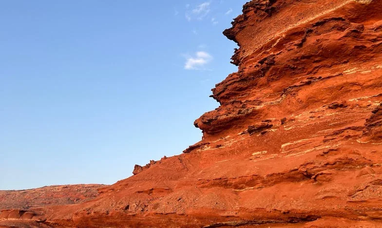 Za zavřenými dveřmi: Příběh jedné české rodiny a ceny za pravdu