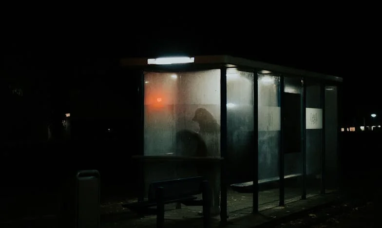 Zmizení mého syna: Příběh matky, která přišla o všechno během jednoho deštivého rána