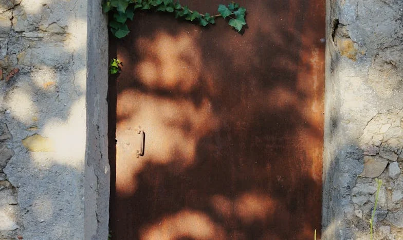 „Budu mít tolik dětí, kolik chci“: Příběh rozdělené rodiny z Plzně očima bratra