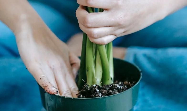 Když cizí děti vstoupí do vašeho života: Přiznání jedné tety, která chrání své dítě
