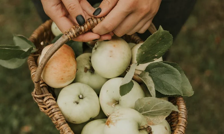 Když dětské rozmary roztrhnou přátelství: Příběh o ztracené blízkosti mezi mnou a Katkou