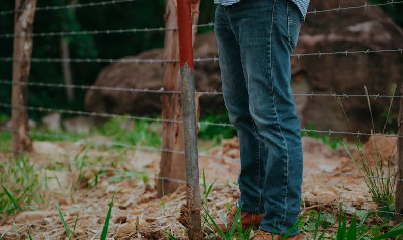 „Můj syn není sluha v tomhle domě!” – Boj mezi sny a očekáváním v jedné české rodině