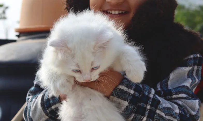 „Ne, tvoje máma u nás bydlet nebude!” — Můj boj o domov a důstojnost ve stínu tchyně