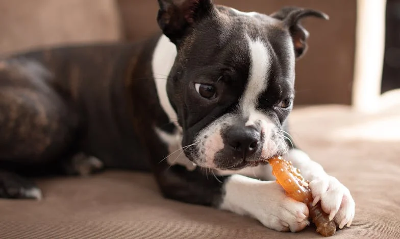 Nečekaná stopa v blátě: Jak mě Barunka přinutila otevřít srdce synovi