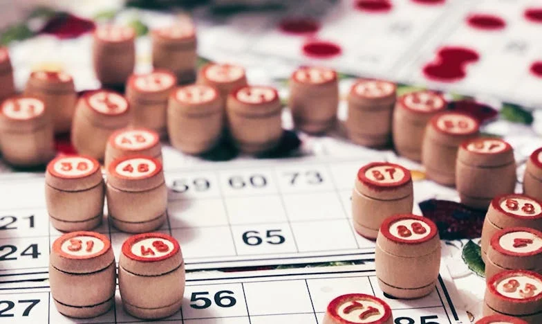 Nečekaný návštěvník z okraje lesa: Příběh jedné odpolední proměny