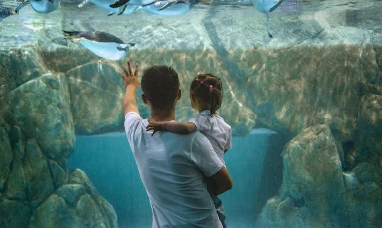 Pravda za rudými růžemi: Odhalení na mé jmeniny