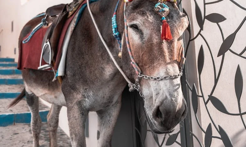 Proč nejsem dost dobrá? – Příběh rozbité rodiny v Brně