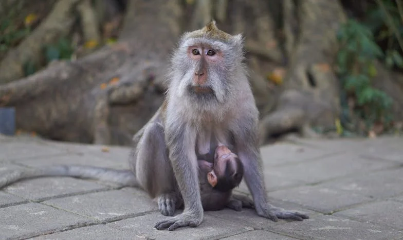Co řekne rodina, když zjistí, že na své vlastní narozeniny odjíždím? – Vzpoura české učitelky proti rodinným očekáváním
