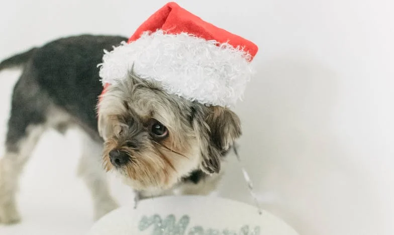 Doma nezůstane nic stejné: Příběh o rozhodnutí mezi synem a snachou, které mi vzalo klid